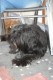 Thumbs/tn_Bild-01 040.jpg